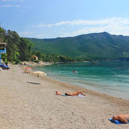 Apartments With A Parking Space Orebic, Peljesac - 10173 Dış mekan fotoğraf