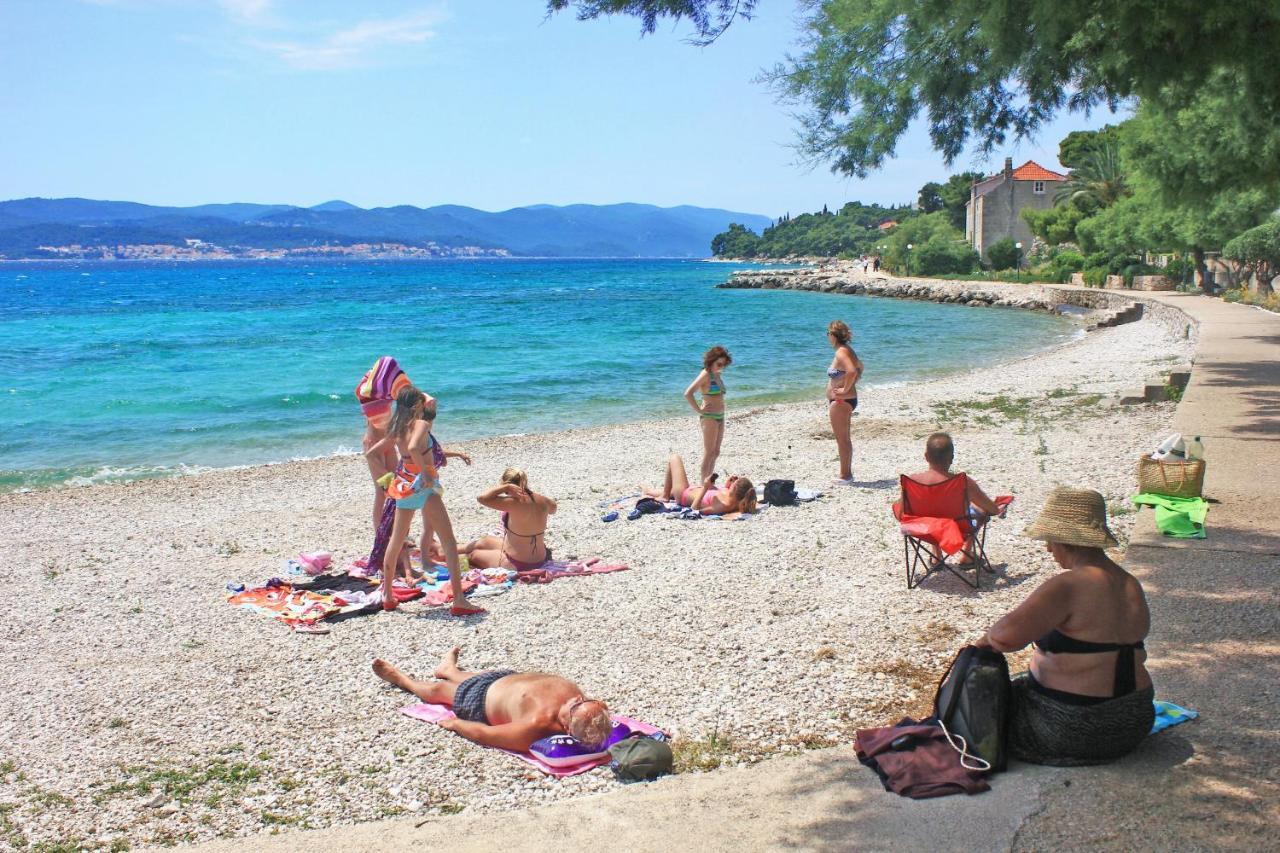 Apartments With A Parking Space Orebic, Peljesac - 10173 Dış mekan fotoğraf