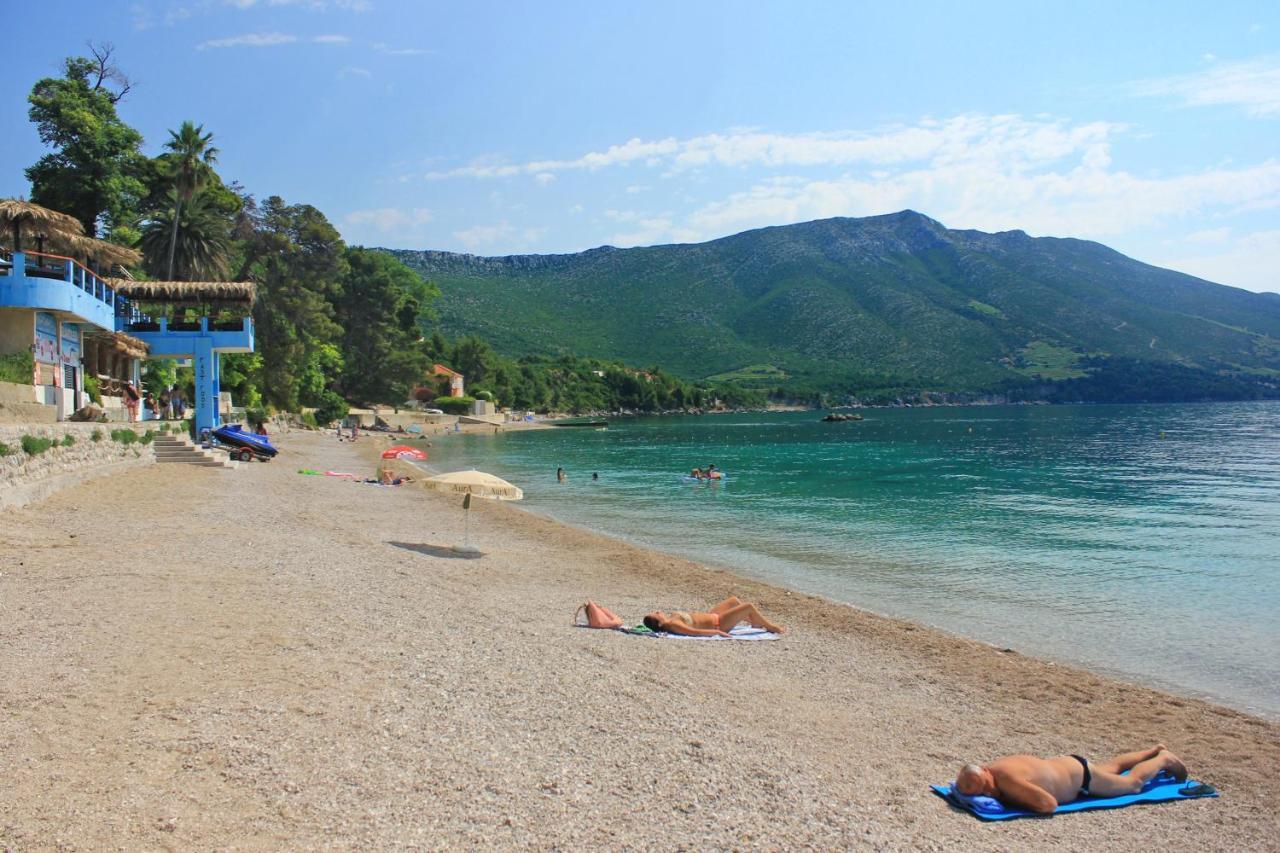 Apartments With A Parking Space Orebic, Peljesac - 10173 Dış mekan fotoğraf